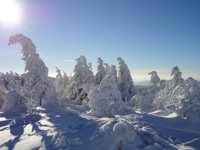 Winter am Fichtelberg