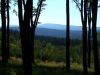 Blick zum Fichtelberg